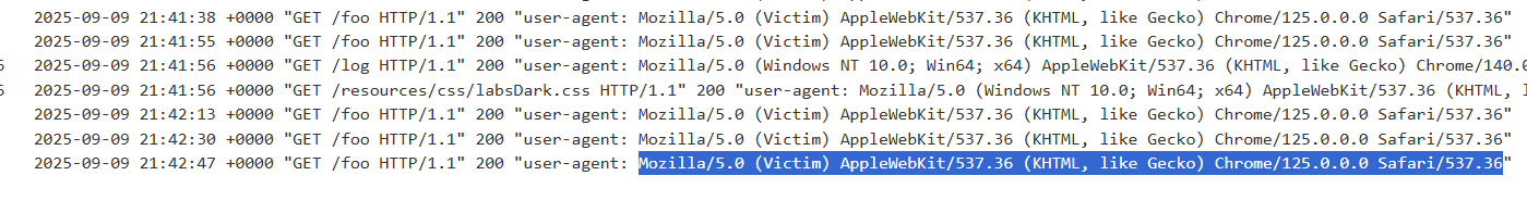 Pasted image 20250909174627